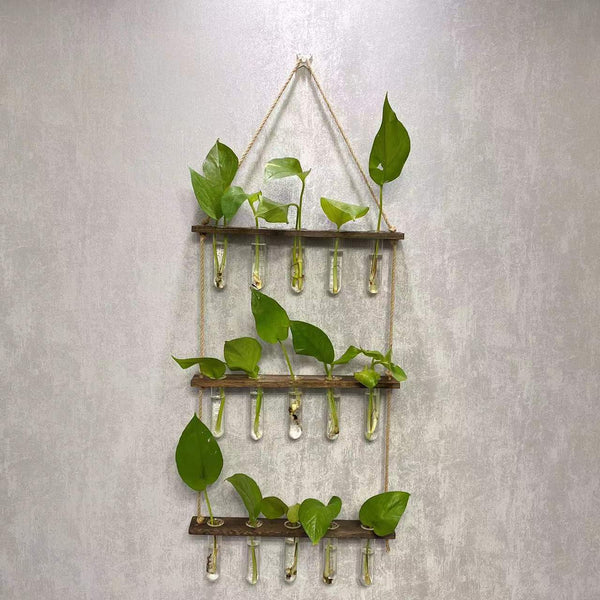 Zen Wall-Mounted Hydroponic Vase Set | Wooden Frame with Glass Test Tube Planters | Minimalist Meditation Decor